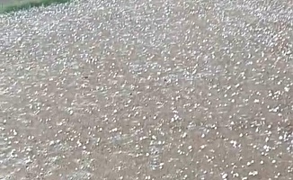 Arapgir'de Dolu Yağışı Etkili Oldu