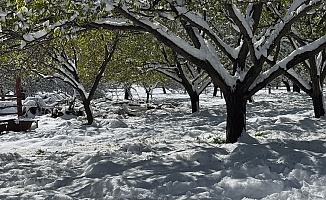 Malatya'da Kar Yağışı Etkili Oldu