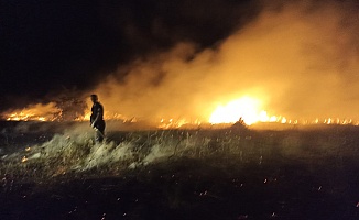 Tam 25 Kayısı Ağacı Zarar Gördü