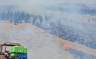 Malatya’da Ormanlık Alanda Yangın