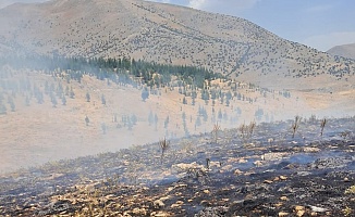 Malatya’daki Orman Yangını Söndürüldü