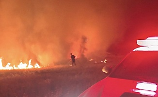 Pütürge’deki Arazi Yangını Büyümeden Söndürüldü