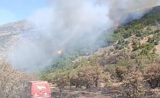 Malatya'da Orman Yangını