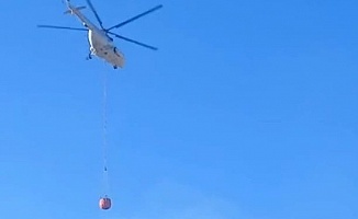 Malatya'daki Orman Yangını Kontrol Altına Alındı