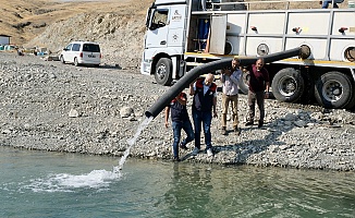 Nesillerini Biz Tüketiyoruz