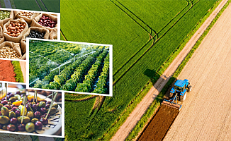 Çiftçiye 332 Milyon TL'lik Destek Ödemesi Hesaplara Yattı!