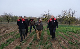 Yarımcahan’da Safran Atağı: Dekarda 900 Gram Başarı