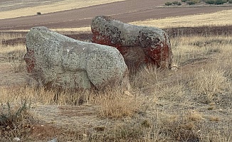 Aslantaşlar Yerinde Kalacak: Taşıma Kararı İptal Edildi