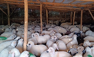 Halk Elinde Islah Projelerine 2,7 Milyar TL Destek