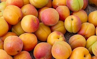 Şire Pazarı’nın Geleceği İçin Kritik Uyarı