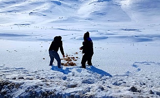 Yaban Hayvanları İçin Örnek Duyarlılık