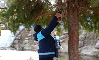 Battalgazi’de Yeşil Alanlar İçin Kapsamlı Çalışmalar Devam Ediyor