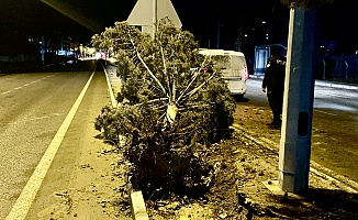 Malatya’da Fırtınalı Gece Hasara Yol Açtı