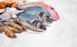 Malatya’da Av Yasağı Başlıyor