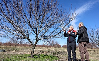 Akar: “Kayısıda Bu Yıl Üreticimizin Beklediği Verimi Almayı Umuyoruz”