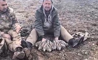 Malatya’da Keklik Popülasyonu İçin Saha Çalışması Yapıldı