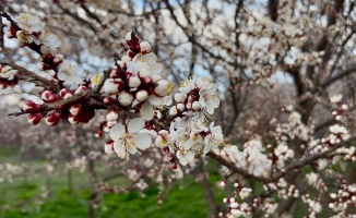 Yıldırım: “Bakım Yapılırsa Verim Ve Kaliteyi Bekliyoruz”