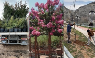 Daha Yeşil Bir Darende İçin 7 Binden Fazla Fidan Dikildi