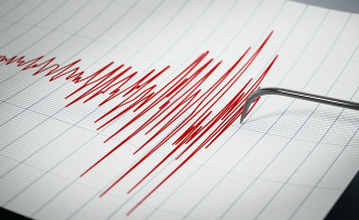 Van’da deprem paniği