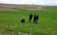 Yazıhan’da Tarım Denetimi Yapıldı