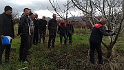 Uzmanlardan Çiftçilere Sahada Budama Dersi