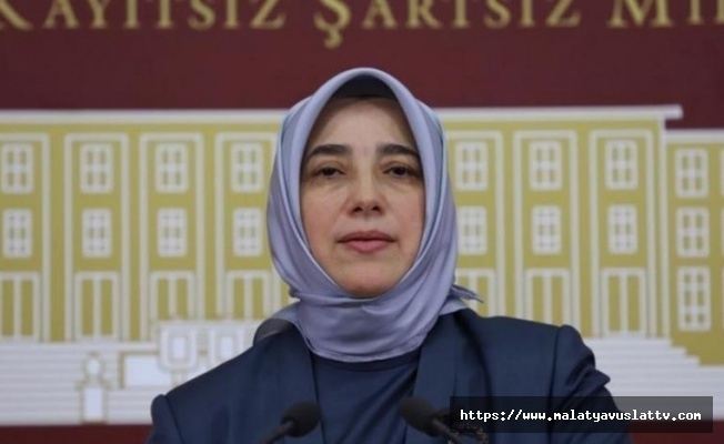 Özlem Zengin, Şehitleri Andı